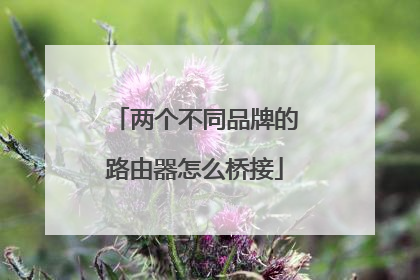 两个不同品牌的路由器怎么桥接