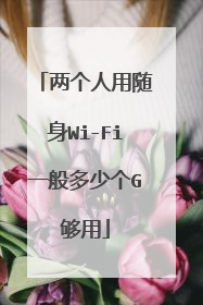 两个人用随身Wi-Fi一般多少个G够用