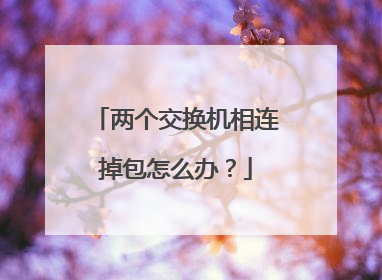 两个交换机相连掉包怎么办？