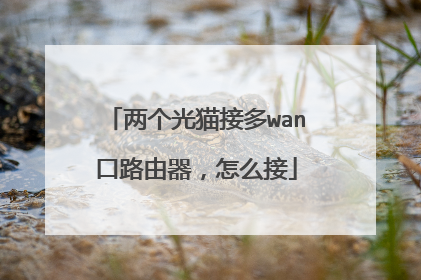 两个光猫接多wan口路由器，怎么接