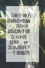 两个地方的两台电脑,用TCP调试助手建立TCP连接时,IP怎么填的?一个做服务器,一个做客户端。