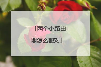 两个小路由器怎么配对