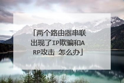 两个路由器串联 出现了IP欺骗和ARP攻击 怎么办