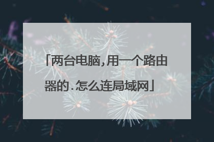 两台电脑,用一个路由器的.怎么连局域网