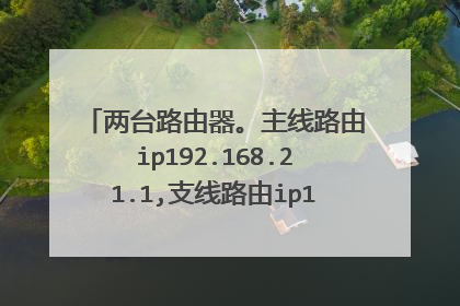 两台路由器。主线路由ip192.168.21.1,支线路由ip192.168.1.1。手机连接支线路由，ip地址不对，不能上网。