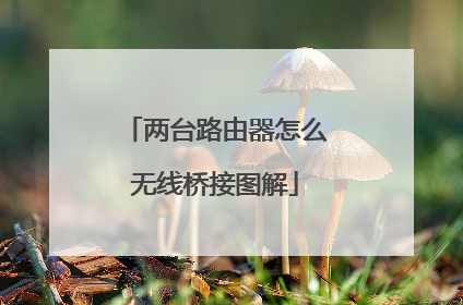 两台路由器怎么无线桥接图解