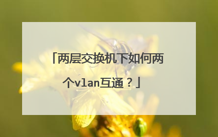 两层交换机下如何两个vlan互通?
