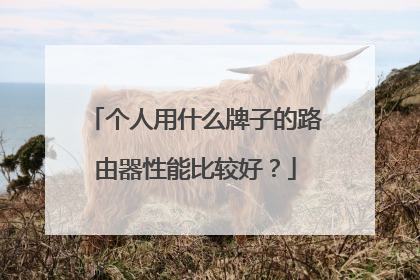 个人用什么牌子的路由器性能比较好？