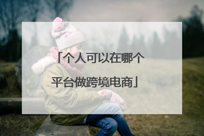 个人可以在哪个平台做跨境电商