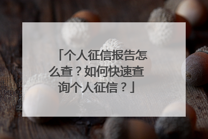 个人征信报告怎么查?如何快速查询个人征信?