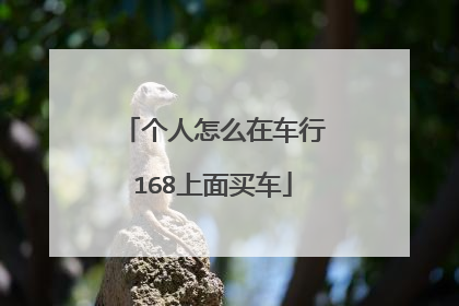 个人怎么在车行168上面买车