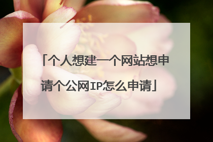 个人想建一个网站想申请个公网IP怎么申请