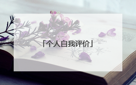 个人自我评价