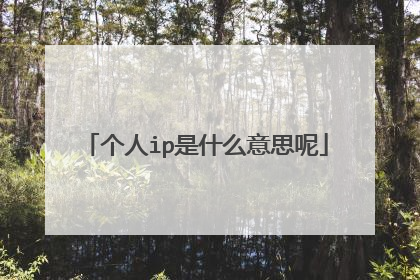 个人ip是什么意思呢