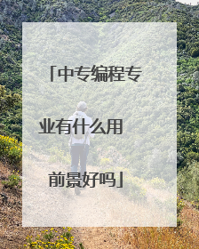 中专编程专业有什么用 前景好吗