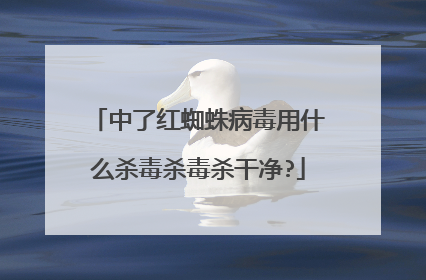中了红蜘蛛病毒用什么杀毒杀毒杀干净?