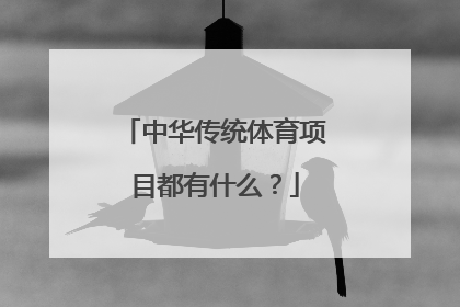 中华传统体育项目都有什么?
