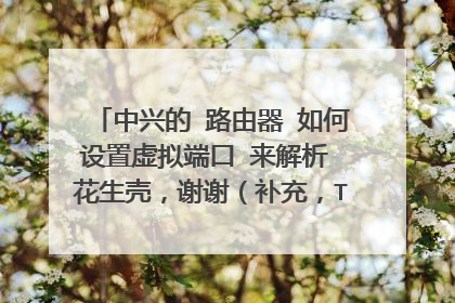 中兴的 路由器 如何设置虚拟端口 来解析 花生壳,谢谢(补充,TP-LINK 非常简单 设置端口 IP , TCP协议)