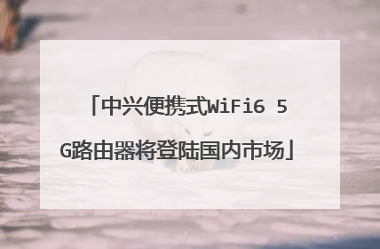 中兴便携式WiFi6 5G路由器将登陆国内市场
