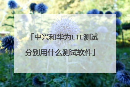 中兴和华为LTE测试分别用什么测试软件