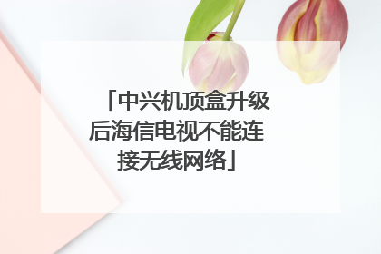 中兴机顶盒升级后海信电视不能连接无线网络