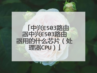 中兴E503路由器中兴E503路由器用的什么芯片（处理器CPU）