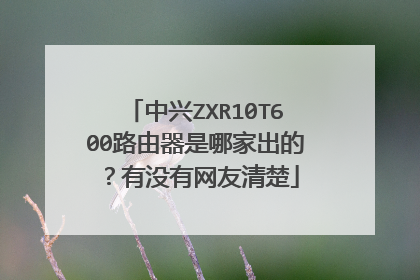中兴ZXR10T600路由器是哪家出的？有没有网友清楚