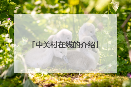 中关村在线的介绍