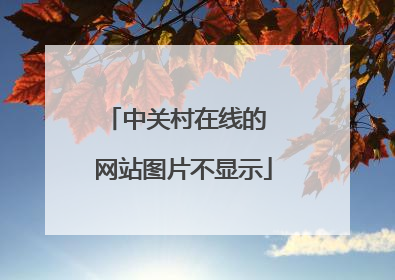 中关村在线的 网站图片不显示