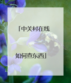 中关村在线如何查东西