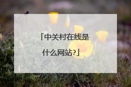 中关村在线是什么网站?