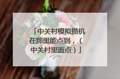 中关村模拟攒机在那里能点到,(中关村里面点)