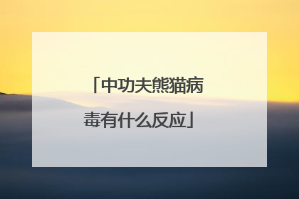 中功夫熊猫病毒有什么反应