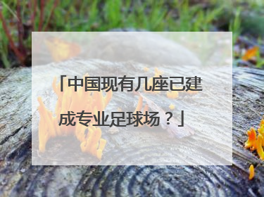 中国现有几座已建成专业足球场?
