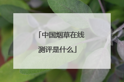 中国烟草在线测评是什么