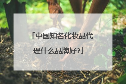 中国知名化妆品代理什么品牌好?
