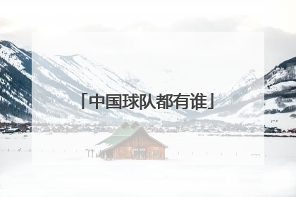 中国球队都有谁