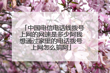 中国电信电话线拨号上网的网速是多少阿我想通过家里的电话拨号上网怎么搞阿