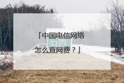 中国电信网络怎么查网费?