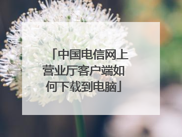 中国电信网上营业厅客户端如何下载到电脑