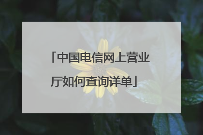 中国电信网上营业厅如何查询详单