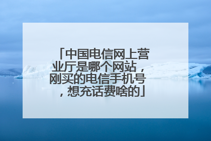 中国电信网上营业厅是哪个网站,刚买的电信手机号,想充话费啥的
