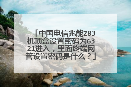 中国电信兆能Z83机顶盒设置密码为6321进入,里面终端网管设置密码是什么?
