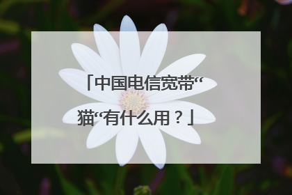 中国电信宽带“猫“有什么用?