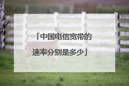 中国电信宽带的速率分别是多少