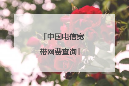 中国电信宽带网费查询