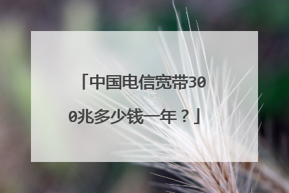 中国电信宽带300兆多少钱一年？