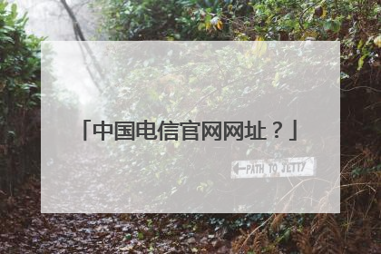 中国电信官网网址？