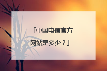 中国电信官方网站是多少?