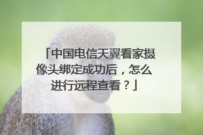 中国电信天翼看家摄像头绑定成功后,怎么进行远程查看?